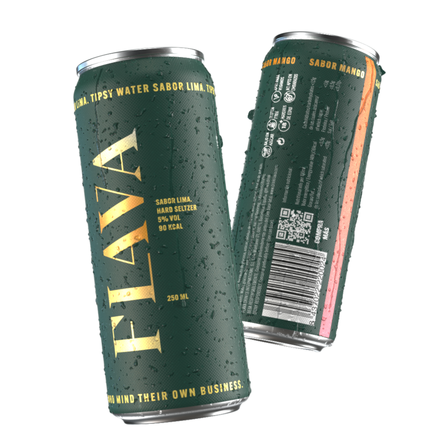 FLAVA VARIETY 12x PACK – Flava Hard Seltzer