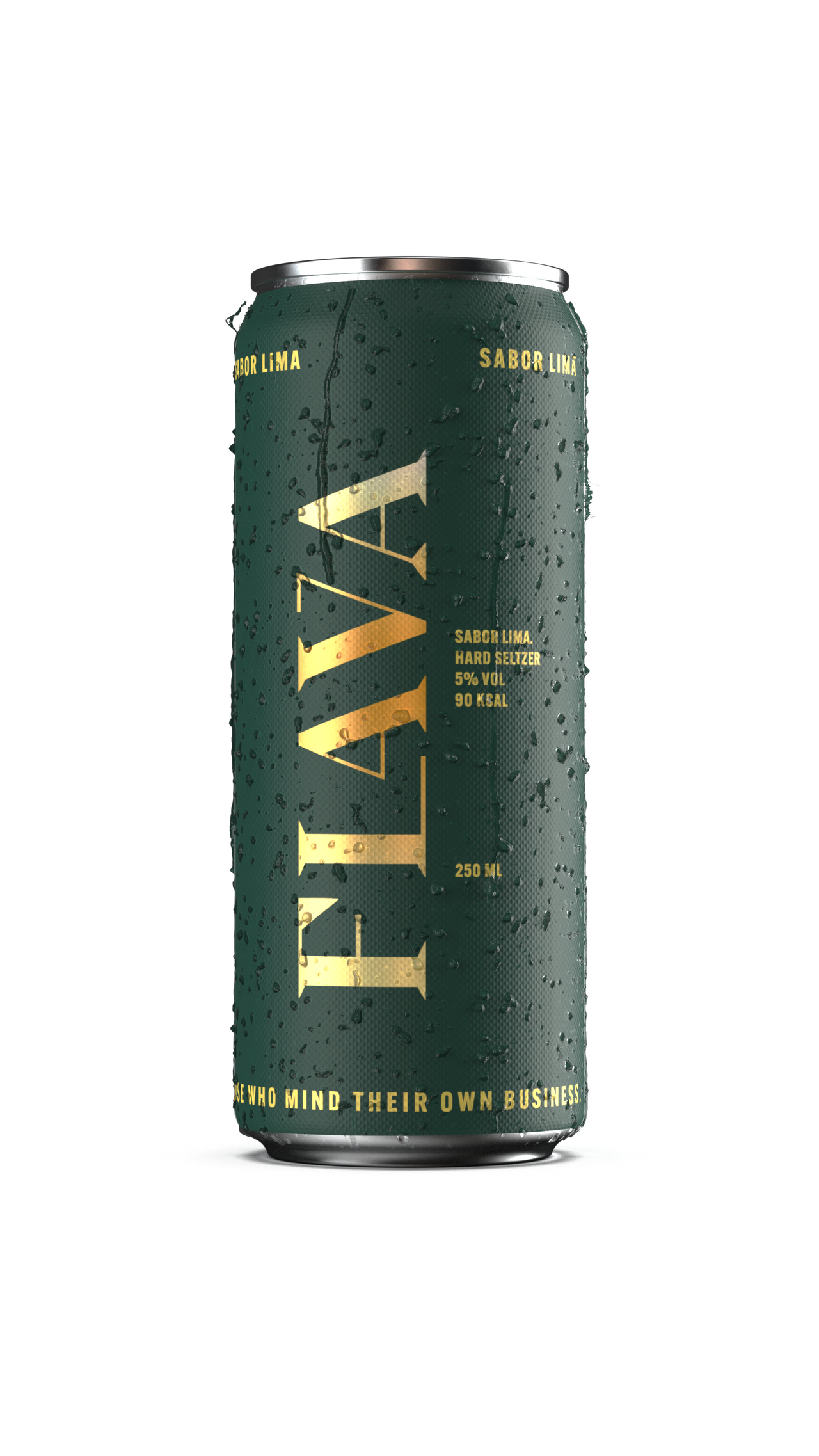 FLAVA VARIETY 12x PACK – Flava Hard Seltzer